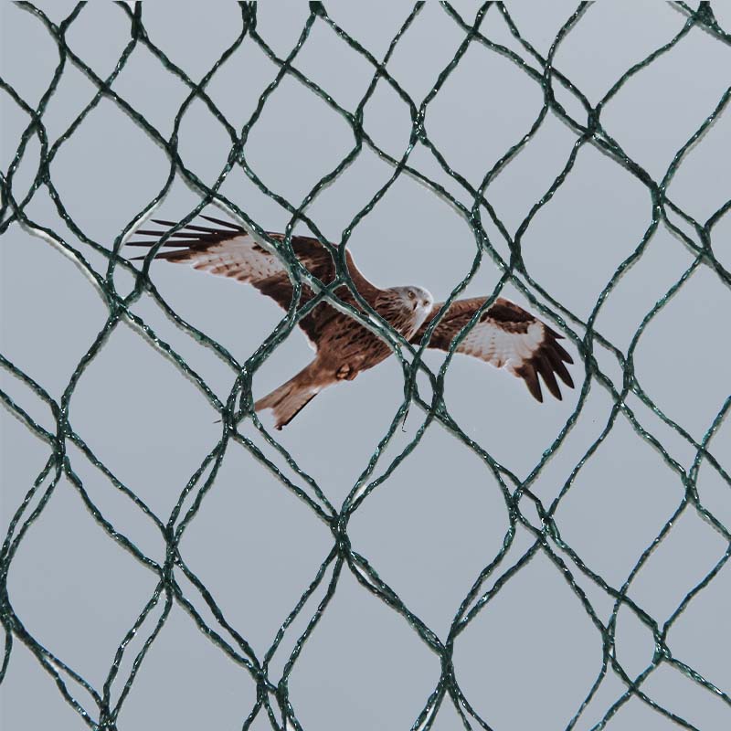 Melyek a madárvédelmi hálók anyagválasztása, előnyei és hátrányai?