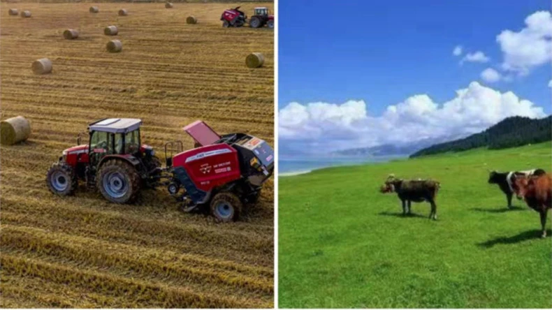 Bálahálós tekercselés alkalmazása mezőgazdasági tevékenységben