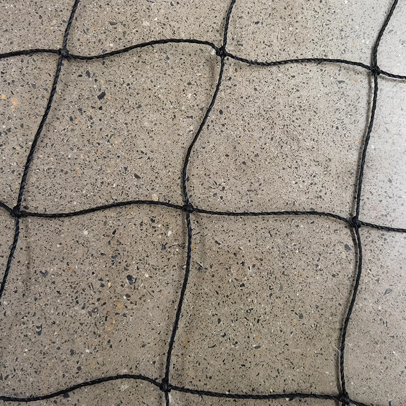 A tücsökhálók szerepe