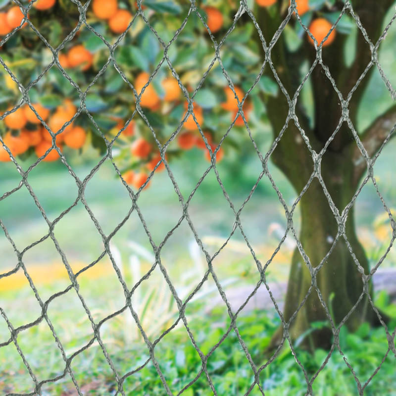 Védje terményét, ingatlanát és befektetését nagy teherbírású madárhálónkkal!