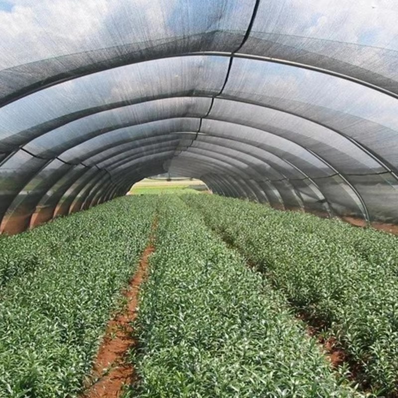 Kerti árnyékoló kendő növényeknek 40%-ban napfénytől védve